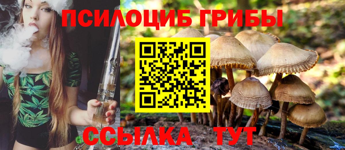 хочу наркоту  Галлюциногенные грибы Psilocybe  Вход с VPN  Кулебаки 