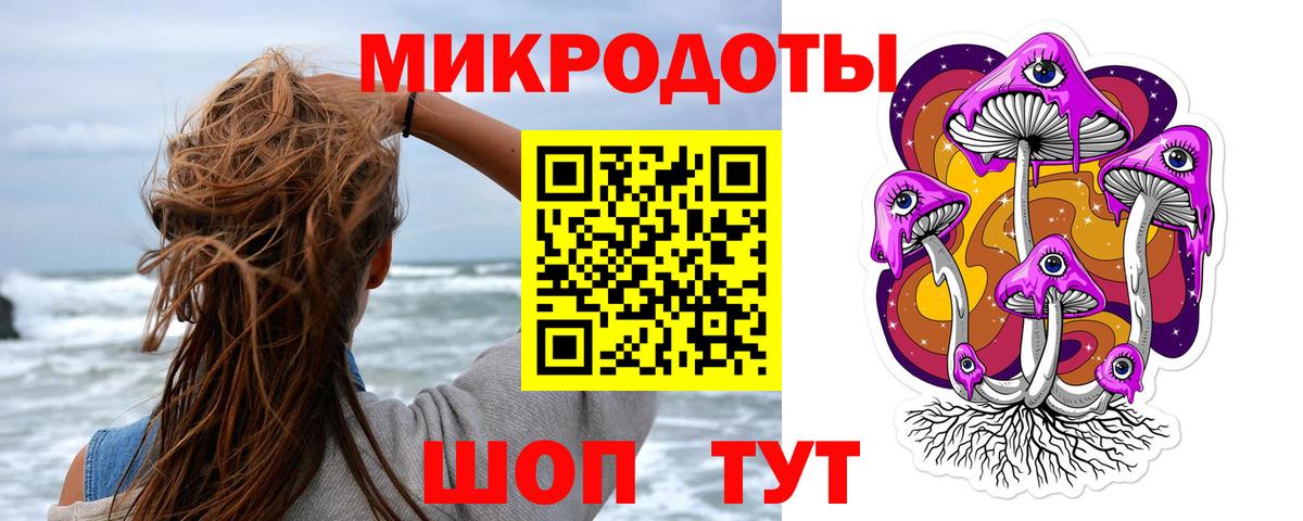 Псилоцибиновые грибы Psilocybe Кулебаки